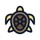 tortuga marina icon