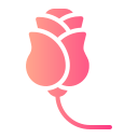 rosa icon