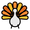 pollo icon