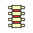 columna vertebral icon