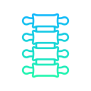 columna vertebral icon