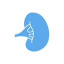 baço 