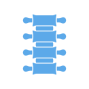 columna vertebral icon