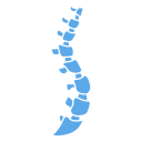 columna vertebral 