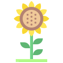 girasol icon