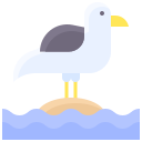 gaviota icon