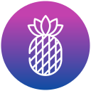 piña icon