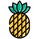 piña icon