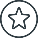 estrella icon