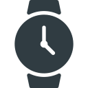 reloj icon