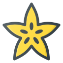 carambola icon