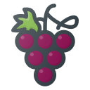 fruta icon