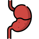 bauch