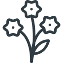 flores icon