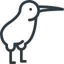 oiseau 