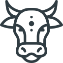 Animal icon