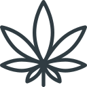 Leaf icon
