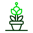 tulipán icon