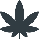 Leaf icon