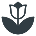 꽃 