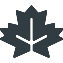 canadá icon