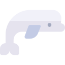 beluga icon