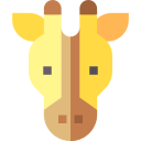 animal icon