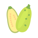 fruta icon