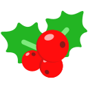 fruta icon