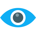 ojo icon