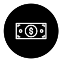 dinero icon