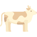 Vaca