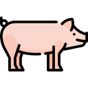 Cerdo icon