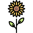 Girasol icon