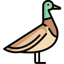 Pato icon