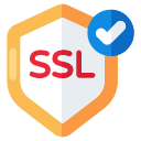 ssl icon