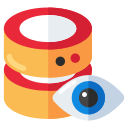 supervisión icon