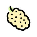 fruta icon