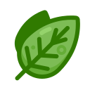 naturaleza icon