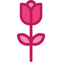 Rosa icon