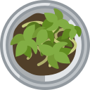 Pot icon