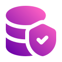 seguridad de la base de datos icon