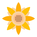 Sunflower icon