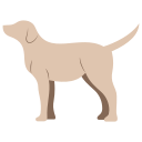 perro icon