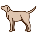 개 icon