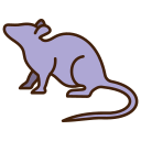 생쥐 icon