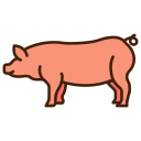 돼지 icon
