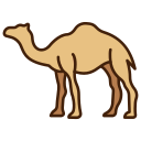 낙타 icon