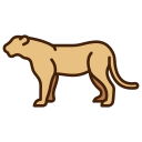 암사자 icon