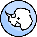 Mapa icon